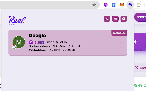 Reef Easy Social Account Extension  from Chrome web store to be run with OffiDocs Chromium online