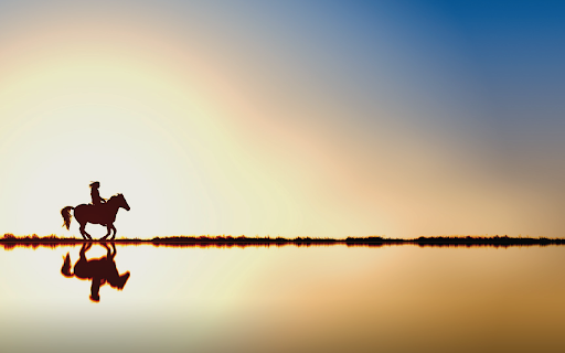 Reiter Horse Water  from Chrome web store to be run with OffiDocs Chromium online