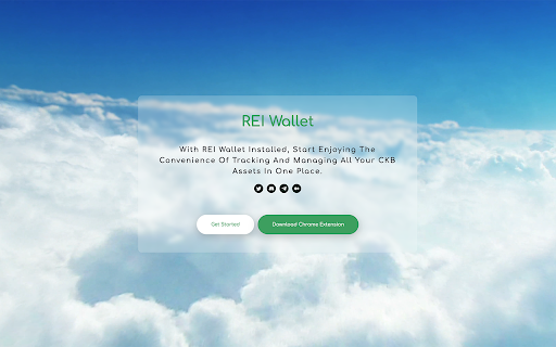REI wallet  from Chrome web store to be run with OffiDocs Chromium online