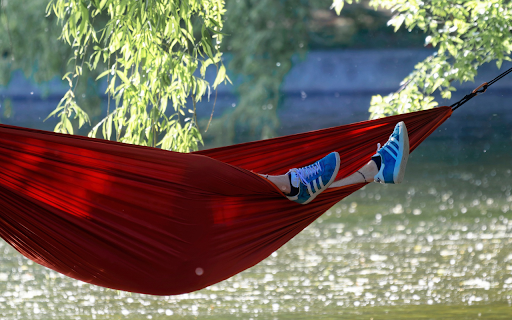 Relaxing hammock by the river  from Chrome web store to be run with OffiDocs Chromium online