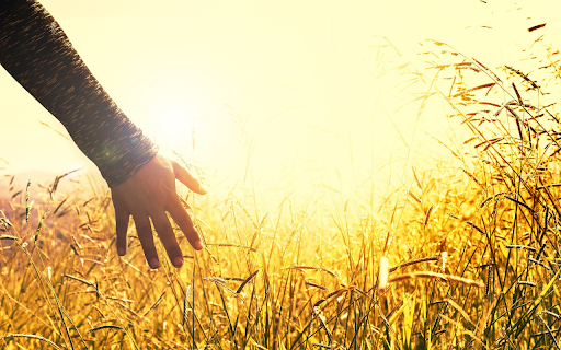 Release your hands into nature  from Chrome web store to be run with OffiDocs Chromium online Release your hands into nature  from Chrome web store to be run with OffiDocs Chromium online