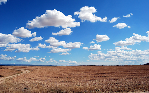 Rice fields  from Chrome web store to be run with OffiDocs Chromium online