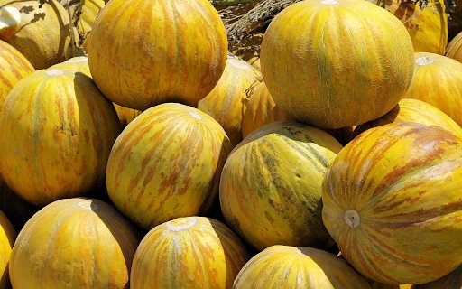 Ripe cantaloupes  from Chrome web store to be run with OffiDocs Chromium online