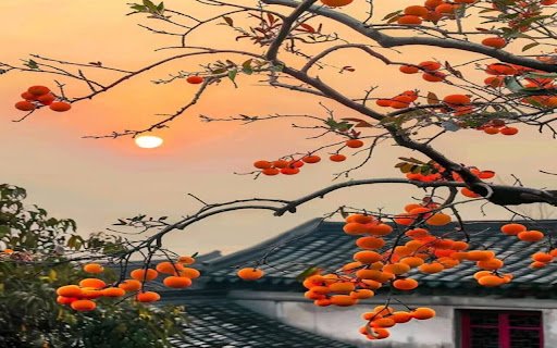 ripe persimmon wallpaper from Chrome web store to be run with OffiDocs Chromium online ripe persimmon wallpaper from Chrome web store to be run with OffiDocs Chromium online