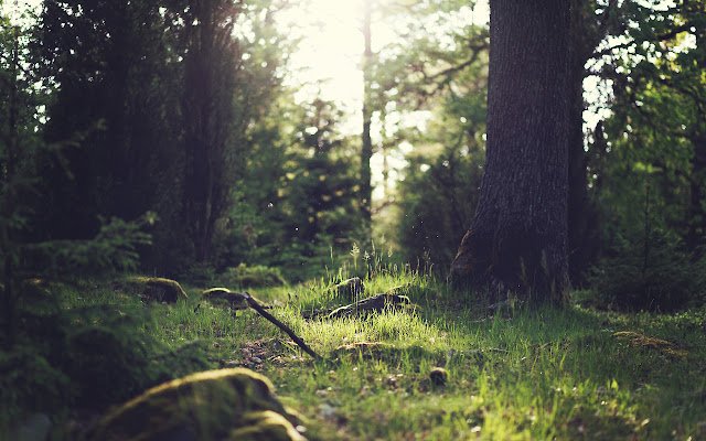 Ritual from Chrome web store to be run with OffiDocs Chromium online Ritual from Chrome web store to be run with OffiDocs Chromium online