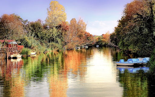 River and trees  from Chrome web store to be run with OffiDocs Chromium online