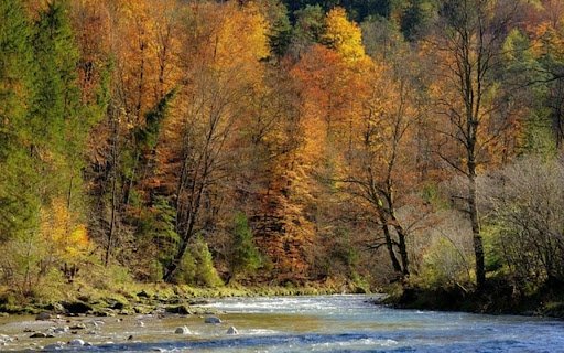 RIVER FOREST THEME  from Chrome web store to be run with OffiDocs Chromium online