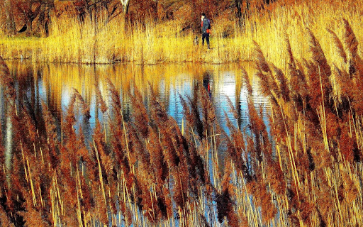 River meadow  from Chrome web store to be run with OffiDocs Chromium online