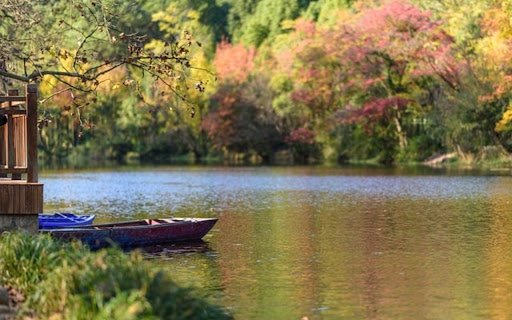 RIVER THEME from Chrome web store to be run with OffiDocs Chromium online RIVER THEME from Chrome web store to be run with OffiDocs Chromium online