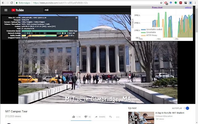RLNC Proxy client  from Chrome web store to be run with OffiDocs Chromium online