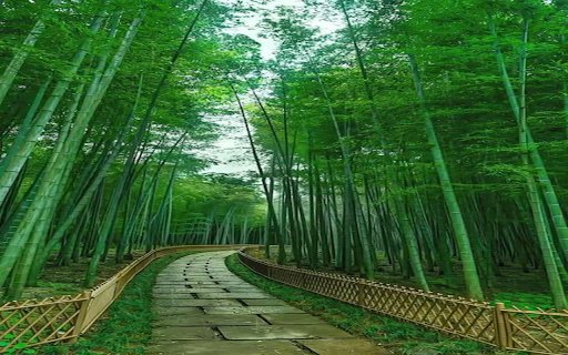 Road in the bamboo forest Wallpaper from Chrome web store to be run with OffiDocs Chromium online Road in the bamboo forest Wallpaper from Chrome web store to be run with OffiDocs Chromium online
