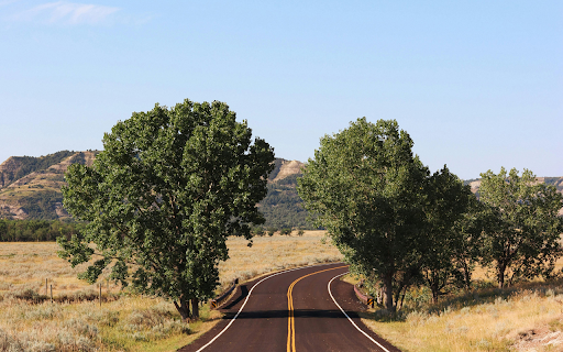 Road in Theodore Roosevelt National Park  from Chrome web store to be run with OffiDocs Chromium online