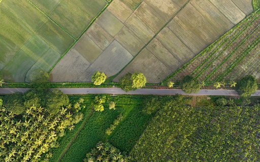 roads and fields  from Chrome web store to be run with OffiDocs Chromium online