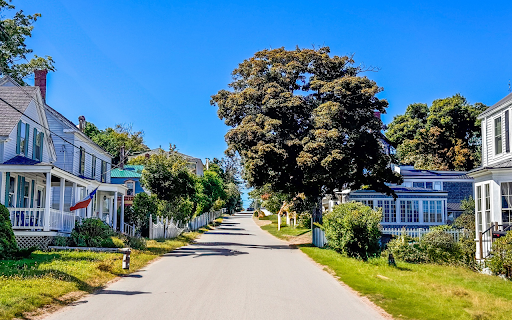 Road silhouetted by trees  from Chrome web store to be run with OffiDocs Chromium online