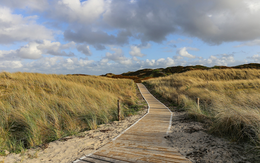 Road through the fields  from Chrome web store to be run with OffiDocs Chromium online