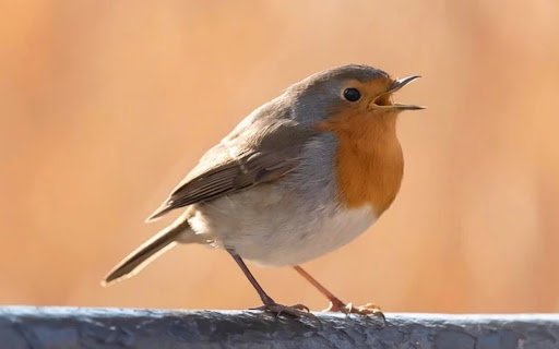 ROBIN Theme  from Chrome web store to be run with OffiDocs Chromium online