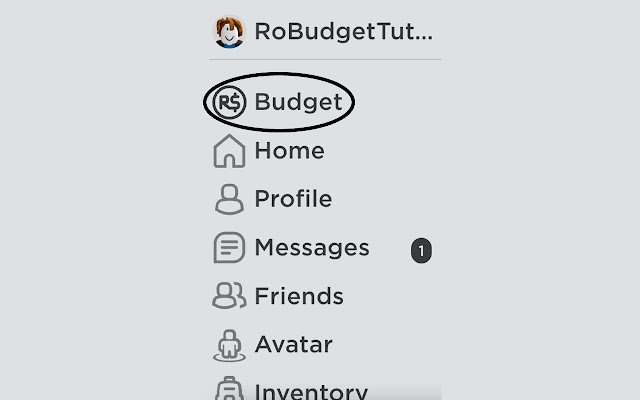 RoBudget  from Chrome web store to be run with OffiDocs Chromium online