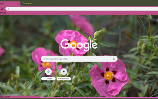 Rock Rose  from Chrome web store to be run with OffiDocs Chromium online