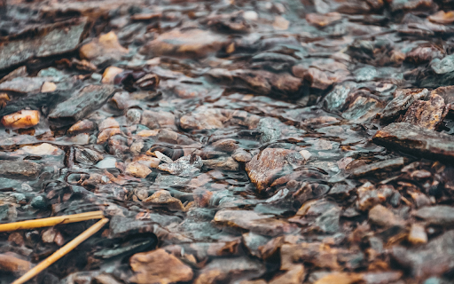Rocks at the bottom of the river  from Chrome web store to be run with OffiDocs Chromium online