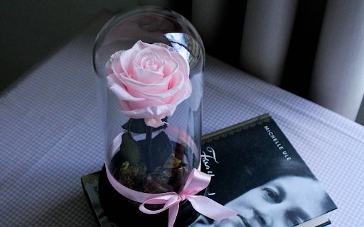 Rose in the box  from Chrome web store to be run with OffiDocs Chromium online