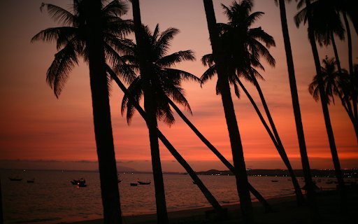 Row of coconut trees  from Chrome web store to be run with OffiDocs Chromium online