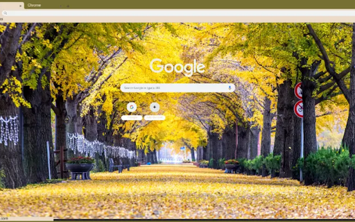 row of yellow ginkgo trees in Asan  from Chrome web store to be run with OffiDocs Chromium online