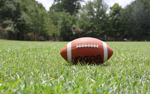 Rugby  from Chrome web store to be run with OffiDocs Chromium online