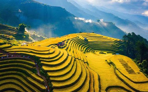Ruộng Bậc Thang  from Chrome web store to be run with OffiDocs Chromium online