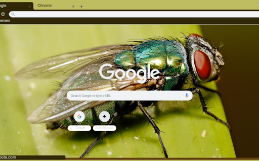 Ruoi  from Chrome web store to be run with OffiDocs Chromium online