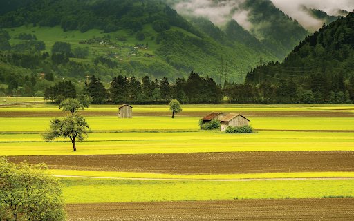 Rural Fields  from Chrome web store to be run with OffiDocs Chromium online