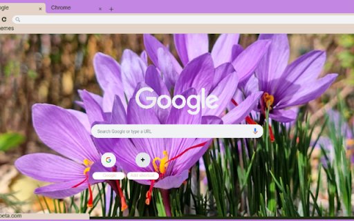 Saffron Crocus from Chrome web store to be run with OffiDocs Chromium online Saffron Crocus from Chrome web store to be run with OffiDocs Chromium online