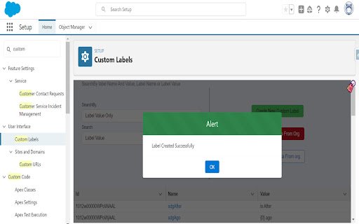 Salesforce Custom Label Manager  from Chrome web store to be run with OffiDocs Chromium online