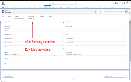 Salesforce Fix Highlight Panel Fields  from Chrome web store to be run with OffiDocs Chromium online