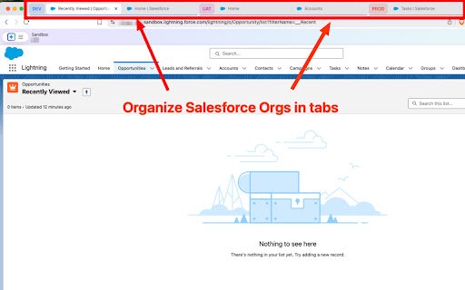 Salesforce Org Grouper  from Chrome web store to be run with OffiDocs Chromium online