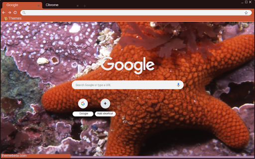 Sao Bien  from Chrome web store to be run with OffiDocs Chromium online