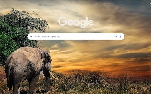 Savanna Sunset Stroll  from Chrome web store to be run with OffiDocs Chromium online