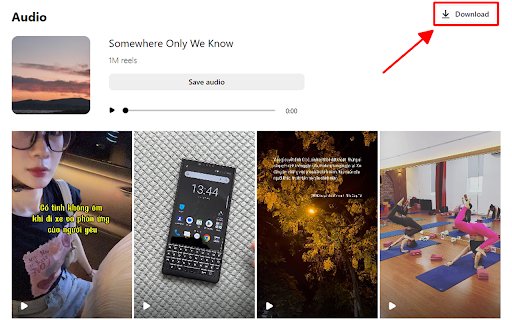 SaveVideo: Video Downloader  from Chrome web store to be run with OffiDocs Chromium online