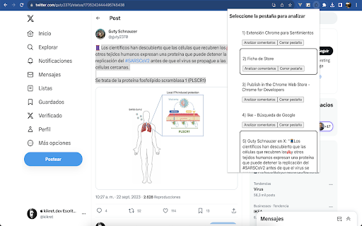 Say so Extensions  from Chrome web store to be run with OffiDocs Chromium online
