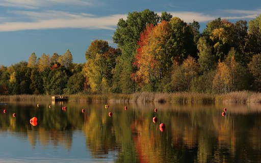Scenic Autumn Reflection in Sweden  from Chrome web store to be run with OffiDocs Chromium online