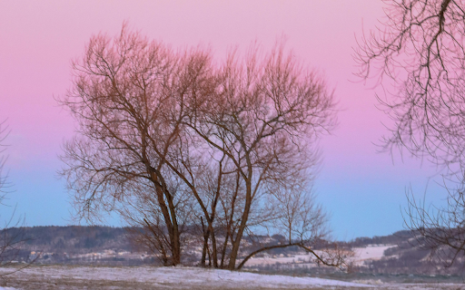 Scenic Winter Landscape in Sweden from Chrome web store to be run with OffiDocs Chromium online Scenic Winter Landscape in Sweden from Chrome web store to be run with OffiDocs Chromium online