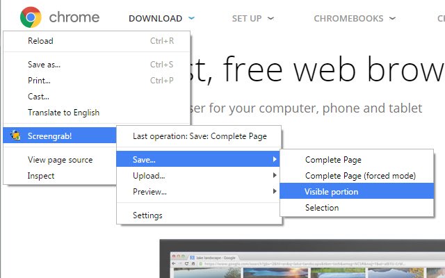 Screengrab!  from Chrome web store to be run with OffiDocs Chromium online
