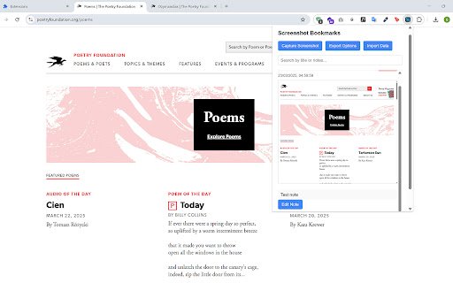 Screenshotter  from Chrome web store to be run with OffiDocs Chromium online