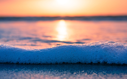 Sea foam  from Chrome web store to be run with OffiDocs Chromium online
