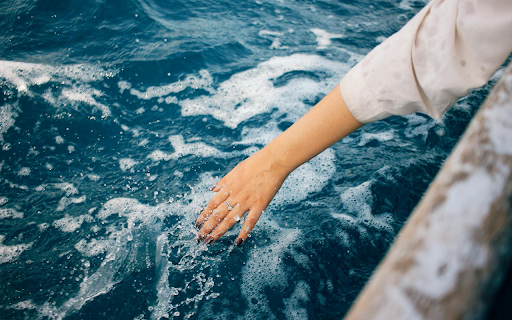 Sea Foam  from Chrome web store to be run with OffiDocs Chromium online