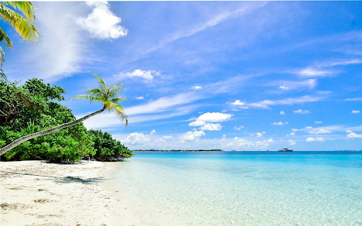 Sea of ​​Four Quynh Background  from Chrome web store to be run with OffiDocs Chromium online