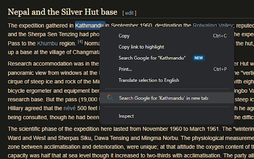 Search selected text with Google in new Tab  from Chrome web store to be run with OffiDocs Chromium online
