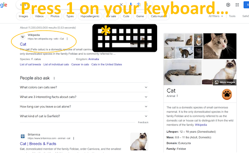 Search Selector  from Chrome web store to be run with OffiDocs Chromium online