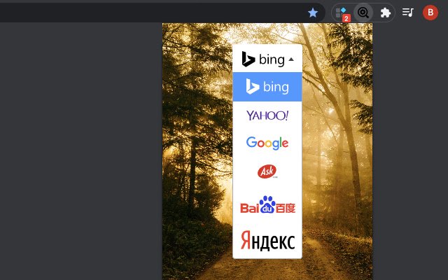 Search Set change default search engine  from Chrome web store to be run with OffiDocs Chromium online