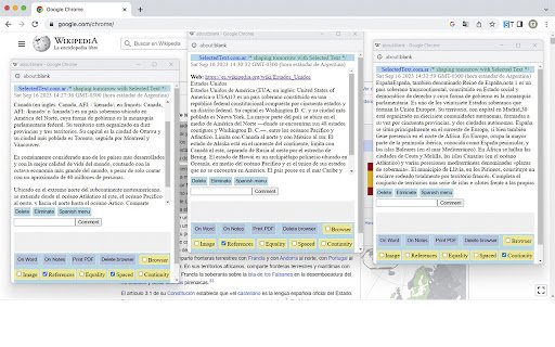 SELECTED TEXT  from Chrome web store to be run with OffiDocs Chromium online