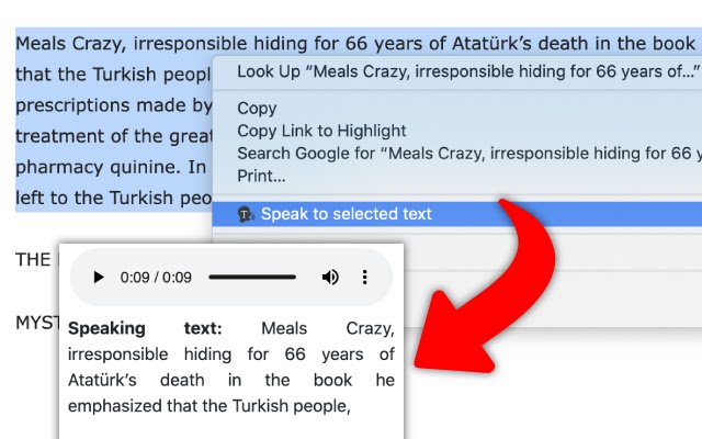 Text to speech yang dipilih dari toko web Chrome untuk dijalankan dengan OffiDocs Chromium online